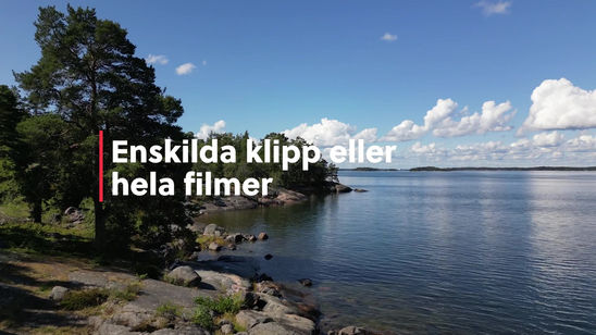 Drönarfilm